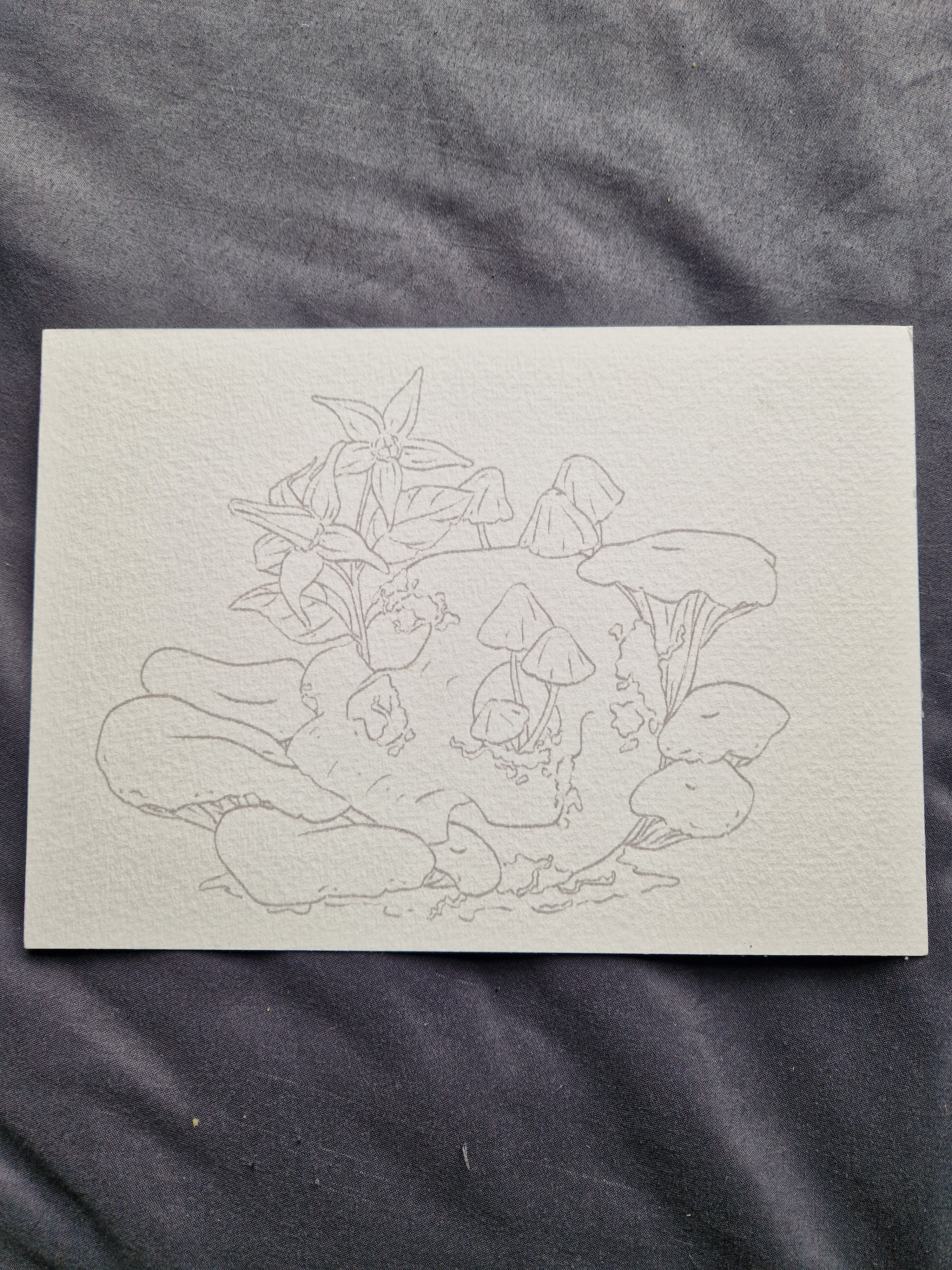 Skull and Mushrooms - colouring print