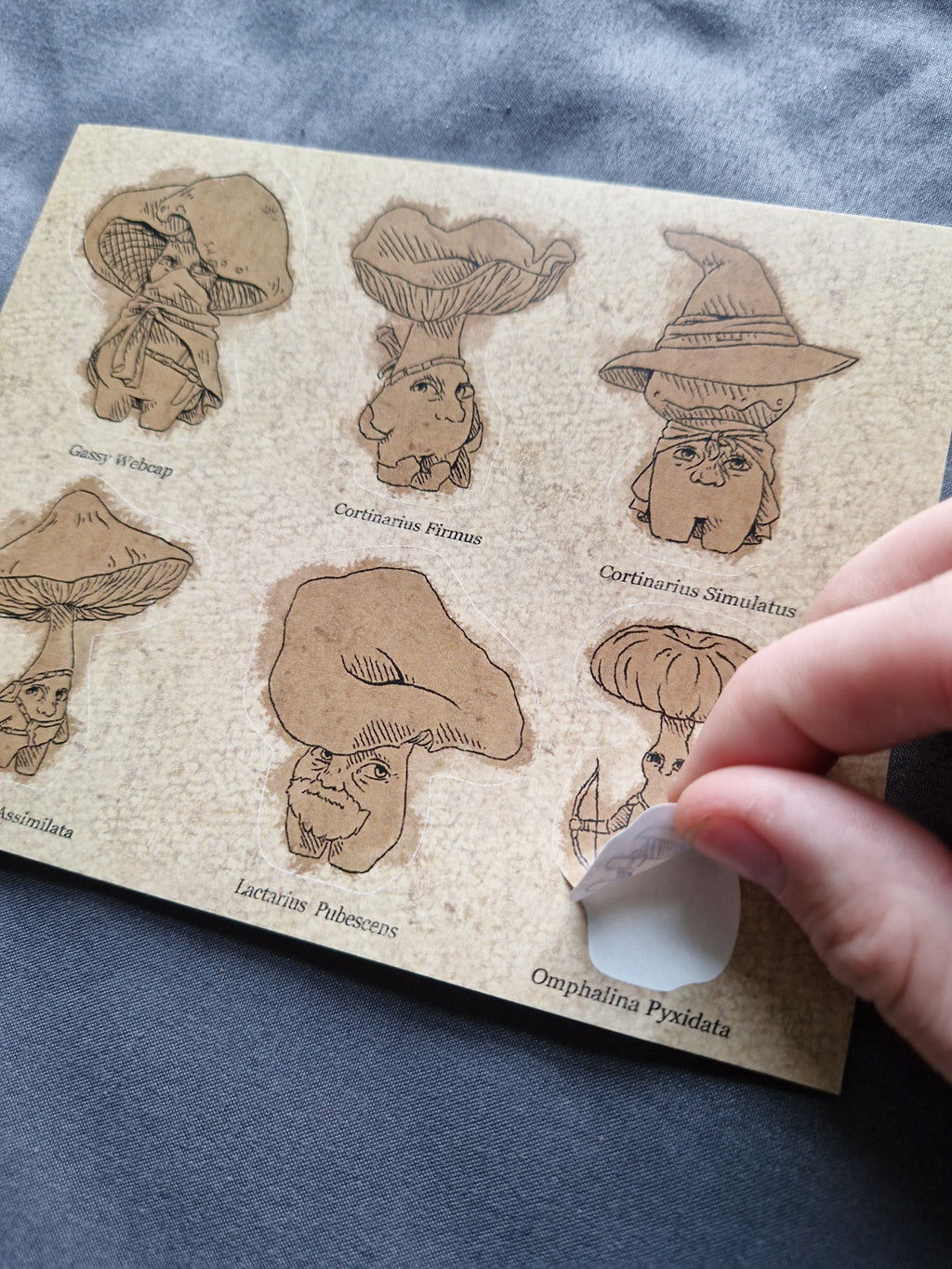 Fantasy Mushdudes - sticker sheet