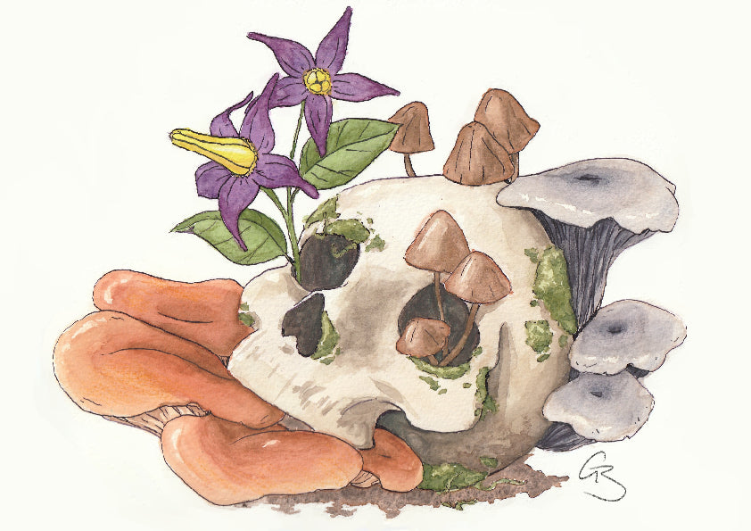 Skull and Mushrooms - colouring print