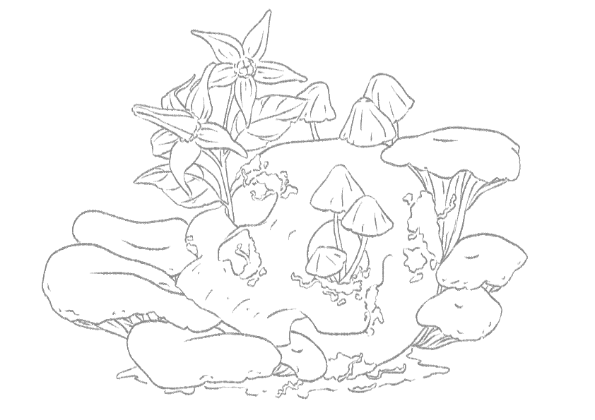 Skull and Mushrooms - colouring print